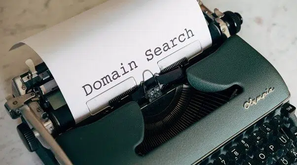 domain search