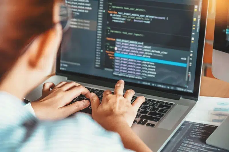 Quels sont les principaux rôles d'un prestataire informatique